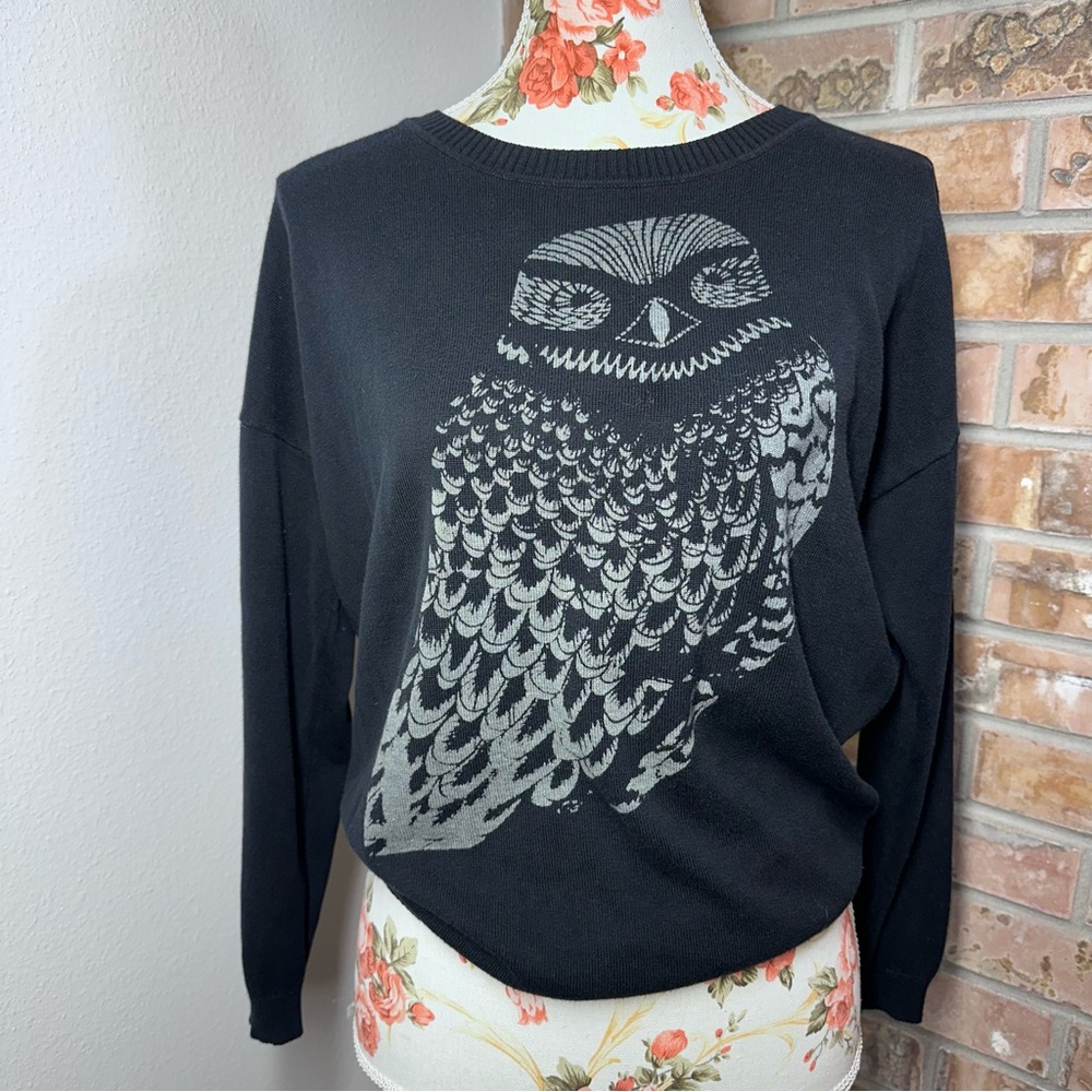Knitted Dove Pullover Crewneck Sweater Black Owl Graphic Sweater